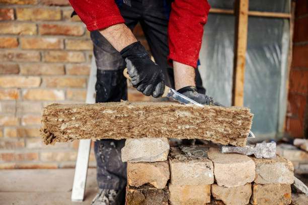 Best Insulation Contractor Near Me  in Thomasboro, IL